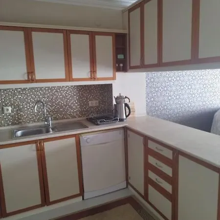 아파트 Duplex Flat With Terrace, In The Center. 이즈미르